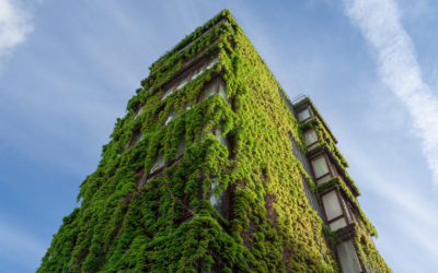 Green Building – A definition